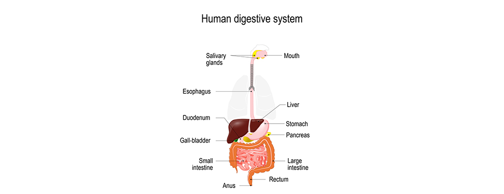 IMMUNE SYSTEM DISEASES AND DISORDERS