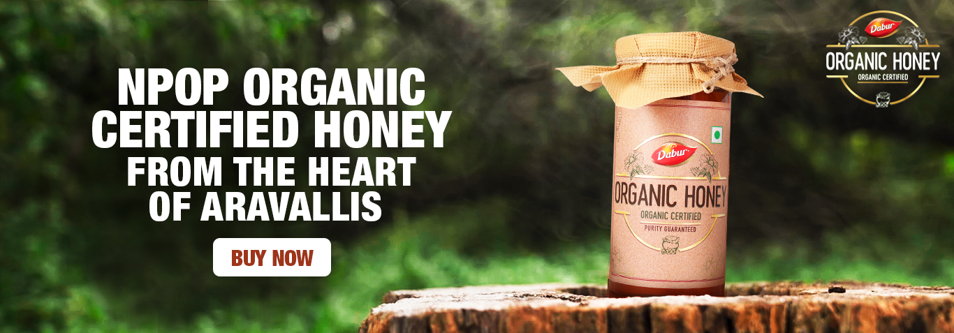 Dabur Organic Honey